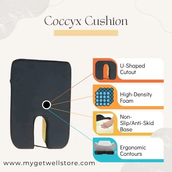 Coccyx cushion in Nagpur