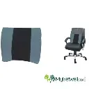 healthy-lumbar-back-rest-1.webp