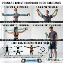 how to use chest expander.webp