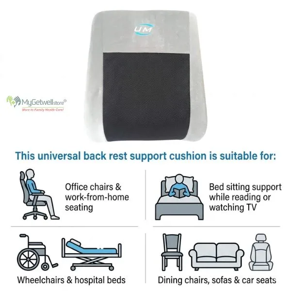Best Universal Back Rest Support | Pain Relief in 2026