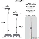 4 leg walking stick near me.webp