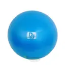 DJ Anti-Burst Gym Ball for Workout, Yoga, Pilates & Balance Training – Heavy-Duty Stability Ball