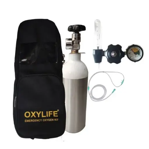 Portable Oxygen Kit – Oxylife Kit 2.2 (270 Liters Portable Oxygen Cylinder Kit)