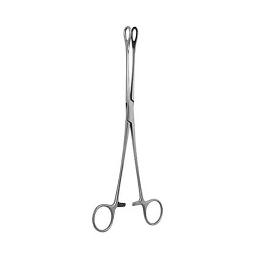 Sponge Holding Forcep 10inch